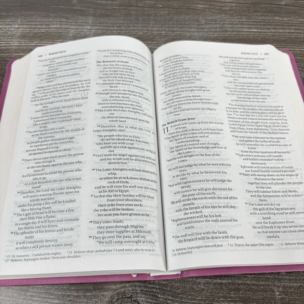 The Holy Bible Thinline NIV New International Version pink Duo Tone Zindervan
